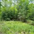 2581 Deer Ln, , Enterprise,  WI 54463 USA