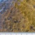 2718 Green Bass Rd, , Crescent,  WI 54501 USA