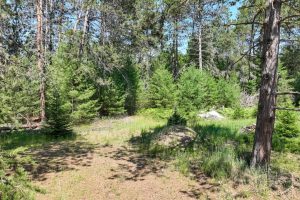 3877 Lakeshore Dr, , Pine Lake,  WI 54501 USA