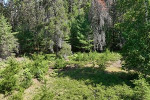 3877 Lakeshore Dr, , Pine Lake,  WI 54501 USA