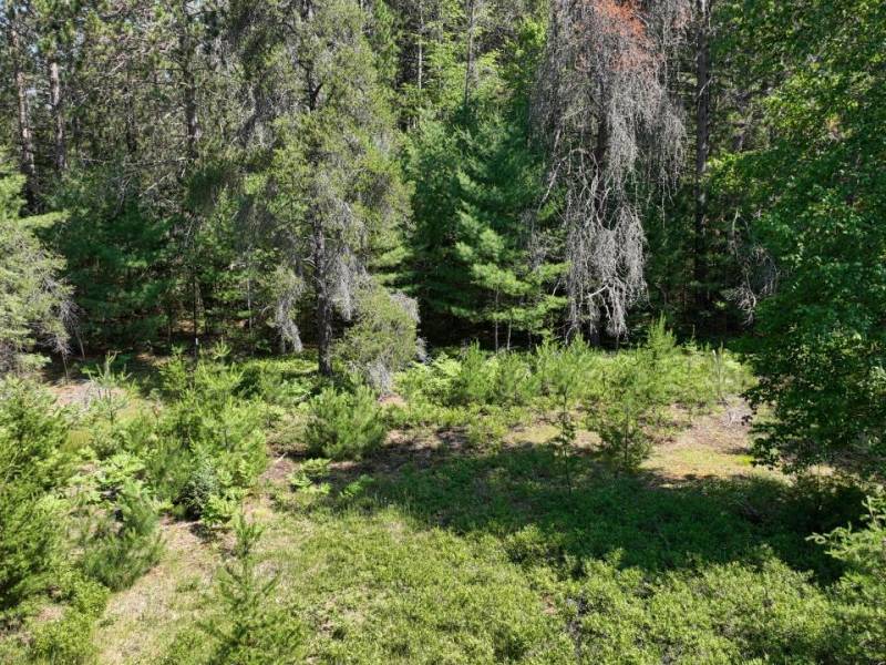 3877 Lakeshore Dr, , Pine Lake,  WI 54501 USA