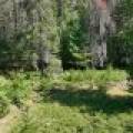 3877 Lakeshore Dr, , Pine Lake,  WI 54501 USA