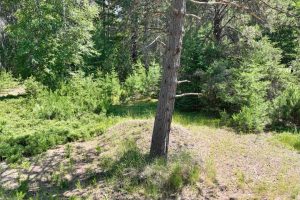 3877 Lakeshore Dr, , Pine Lake,  WI 54501 USA