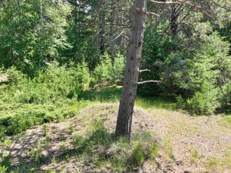 3877 Lakeshore Dr, , Pine Lake,  WI 54501 USA