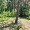3877 Lakeshore Dr, , Pine Lake,  WI 54501 USA