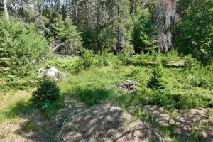 3877 Lakeshore Dr, , Pine Lake,  WI 54501 USA