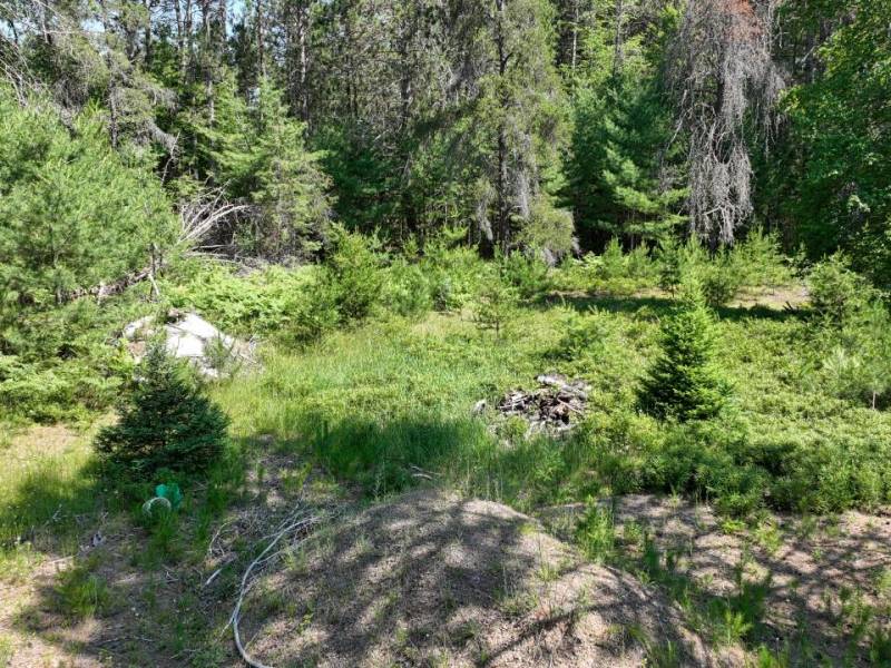 3877 Lakeshore Dr, , Pine Lake,  WI 54501 USA