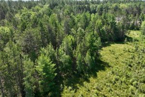 3877 Lakeshore Dr, , Pine Lake,  WI 54501 USA