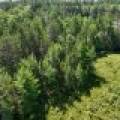 3877 Lakeshore Dr, , Pine Lake,  WI 54501 USA