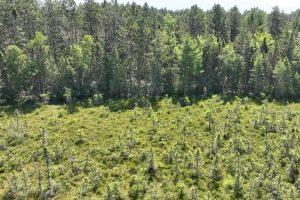 3877 Lakeshore Dr, , Pine Lake,  WI 54501 USA