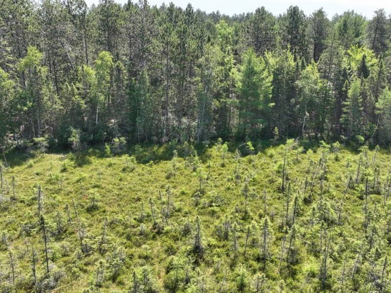 3877 Lakeshore Dr, , Pine Lake,  WI 54501 USA