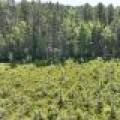 3877 Lakeshore Dr, , Pine Lake,  WI 54501 USA