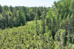 3877 Lakeshore Dr, , Pine Lake,  WI 54501 USA