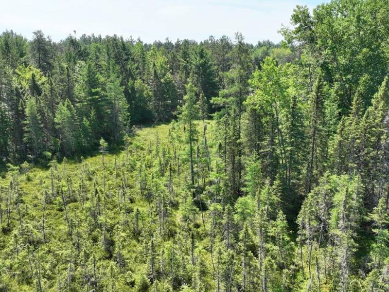 3877 Lakeshore Dr, , Pine Lake,  WI 54501 USA