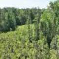 3877 Lakeshore Dr, , Pine Lake,  WI 54501 USA