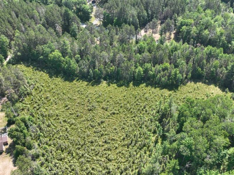 3877 Lakeshore Dr, , Pine Lake,  WI 54501 USA