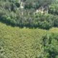 3877 Lakeshore Dr, , Pine Lake,  WI 54501 USA
