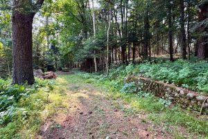 431 Sundstein Rd, , Eagle River,  WI 54521 USA
