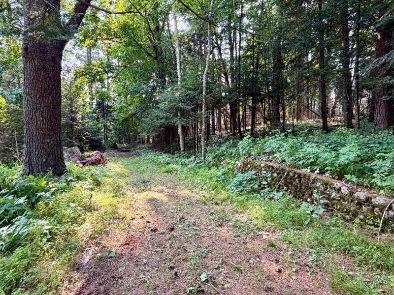 431 Sundstein Rd, , Eagle River,  WI 54521 USA