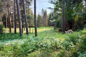 431 Sundstein Rd, , Eagle River,  WI 54521 USA