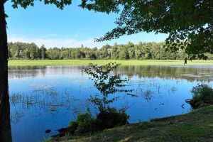 4790 Landing Rd, , Newbold,  WI 54501 USA
