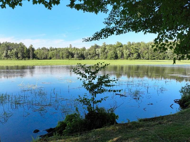 4790 Landing Rd, , Newbold,  WI 54501 USA