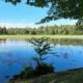 4790 Landing Rd, , Newbold,  WI 54501 USA