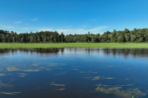 4790 Landing Rd, , Newbold,  WI 54501 USA