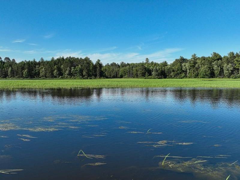 4790 Landing Rd, , Newbold,  WI 54501 USA