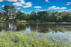 4790 Landing Rd, , Newbold,  WI 54501 USA