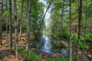 5165 Deer Lake Rd, , Conover,  WI 54519 USA