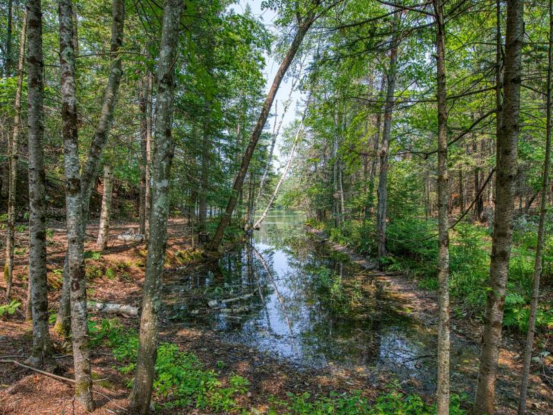 5165 Deer Lake Rd, , Conover,  WI 54519 USA