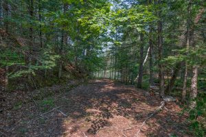 5165 Deer Lake Rd, , Conover,  WI 54519 USA