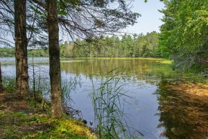 5165 Deer Lake Rd, , Conover,  WI 54519 USA