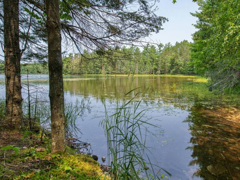 5165 Deer Lake Rd, , Conover,  WI 54519 USA