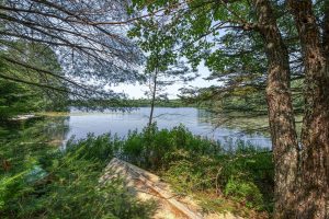5165 Deer Lake Rd, , Conover,  WI 54519 USA