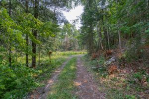 5165 Deer Lake Rd, , Conover,  WI 54519 USA