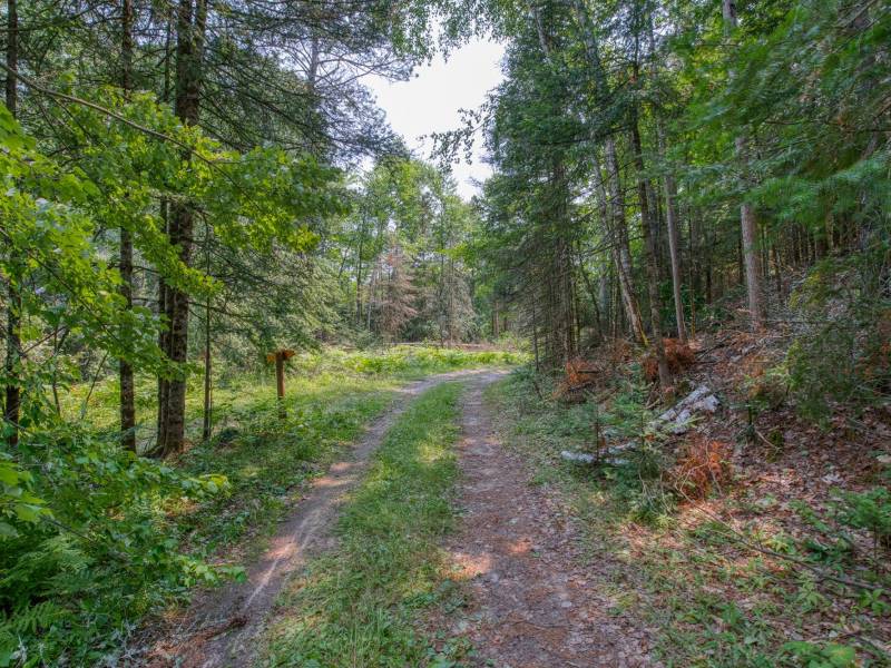5165 Deer Lake Rd, , Conover,  WI 54519 USA