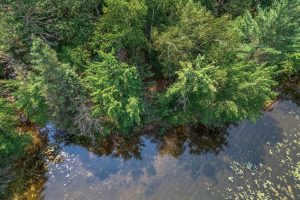 5165 Deer Lake Rd, , Conover,  WI 54519 USA