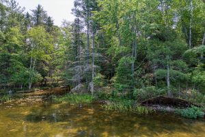 5165 Deer Lake Rd, , Conover,  WI 54519 USA