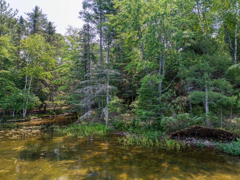 5165 Deer Lake Rd, , Conover,  WI 54519 USA