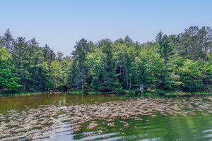 5165 Deer Lake Rd, , Conover,  WI 54519 USA