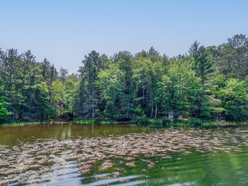 5165 Deer Lake Rd, , Conover,  WI 54519 USA