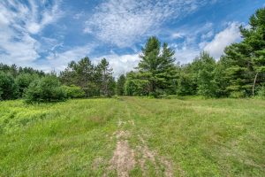 6735 Hwy 45, , Three Lakes,  WI 54562 USA