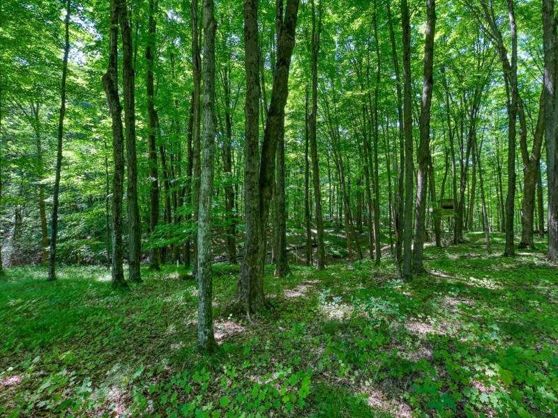 7180 Maple North Dr, , Three Lakes,  WI 54562 USA