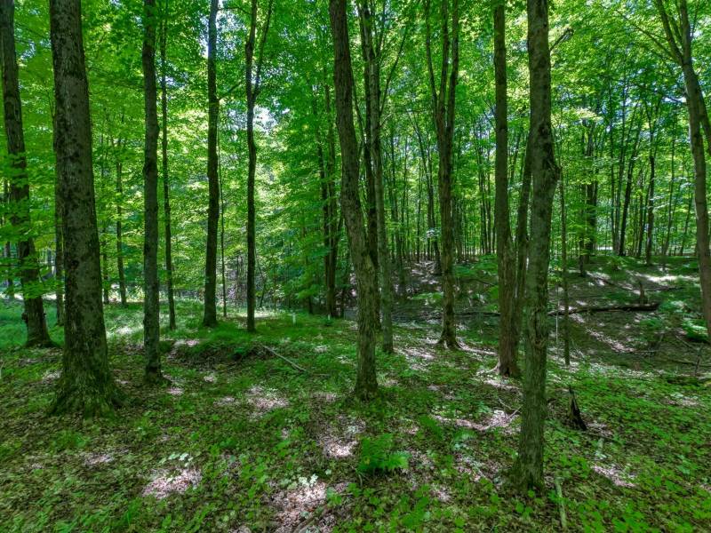 7180 Maple North Dr, , Three Lakes,  WI 54562 USA