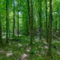 7180 Maple North Dr, , Three Lakes,  WI 54562 USA
