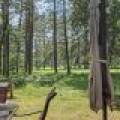 7409 Forest Dr, , Minocqua,  WI 54548 USA