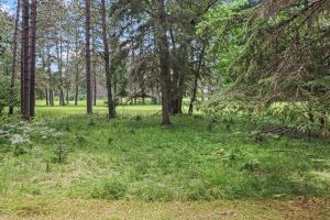 7409 Forest Dr, , Minocqua,  WI 54548 USA