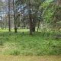 7409 Forest Dr, , Minocqua,  WI 54548 USA